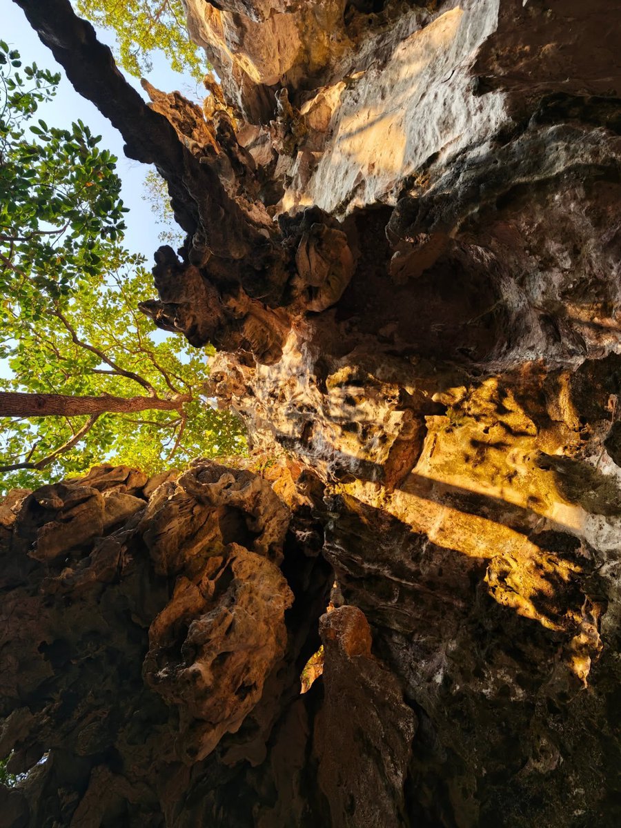 About_TayNew's tweet image. 2026.04.17
นี่อ่าวนายหรอ หึ อ่าวนาง
#Tawan_V