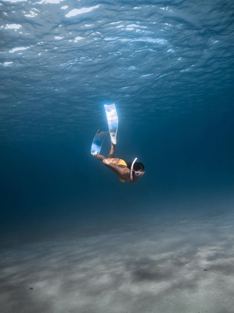 abycadoo's tweet photo. she looks like a dream the ocean had 🌊

#HyacinthCallado https://t.co/v0ia160dp4