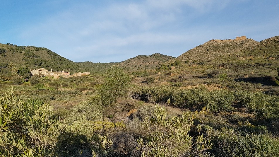 Universidad Murcia tweet media