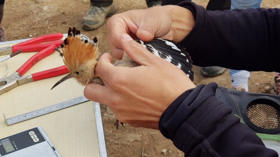 Universidad Murcia tweet media