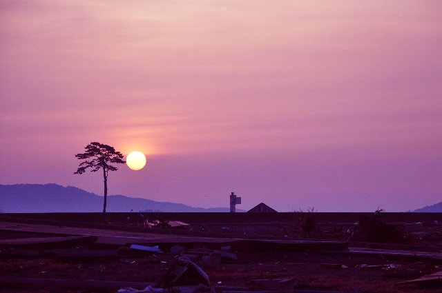 陸前高田市立博物館 tweet media