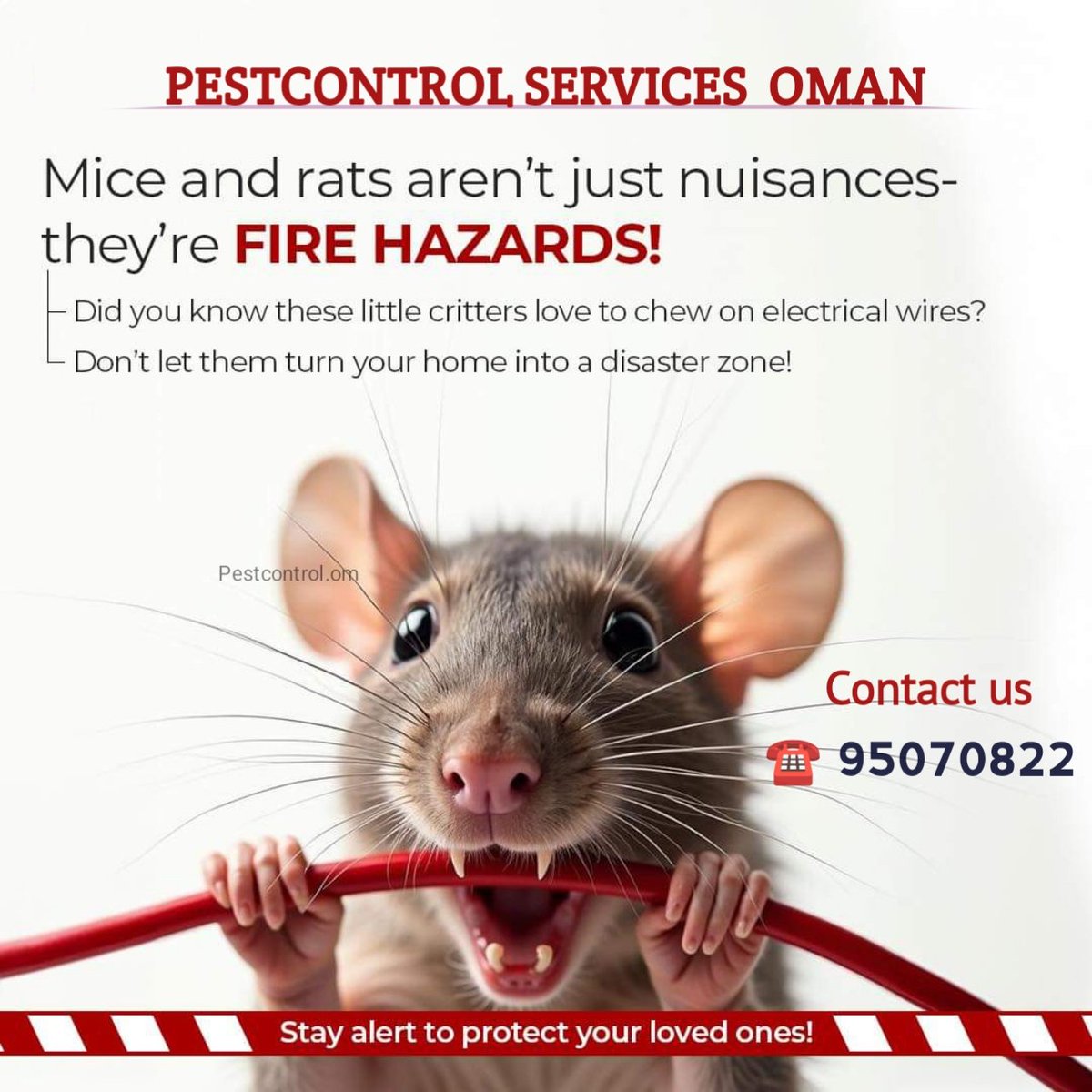 MuscatPest's tweet image. We offer services are :-
Anti #termite control with 5-10 Years Warranty
#Bedbugs Control
#Cockroaches control
#Rats control
#Snake control
#Scorpion control
#Ants control
#Mosquito control
#Flys control
#oman #muscat #pestcontrol #pestexterminator #Warranty #pestcontrolnearme