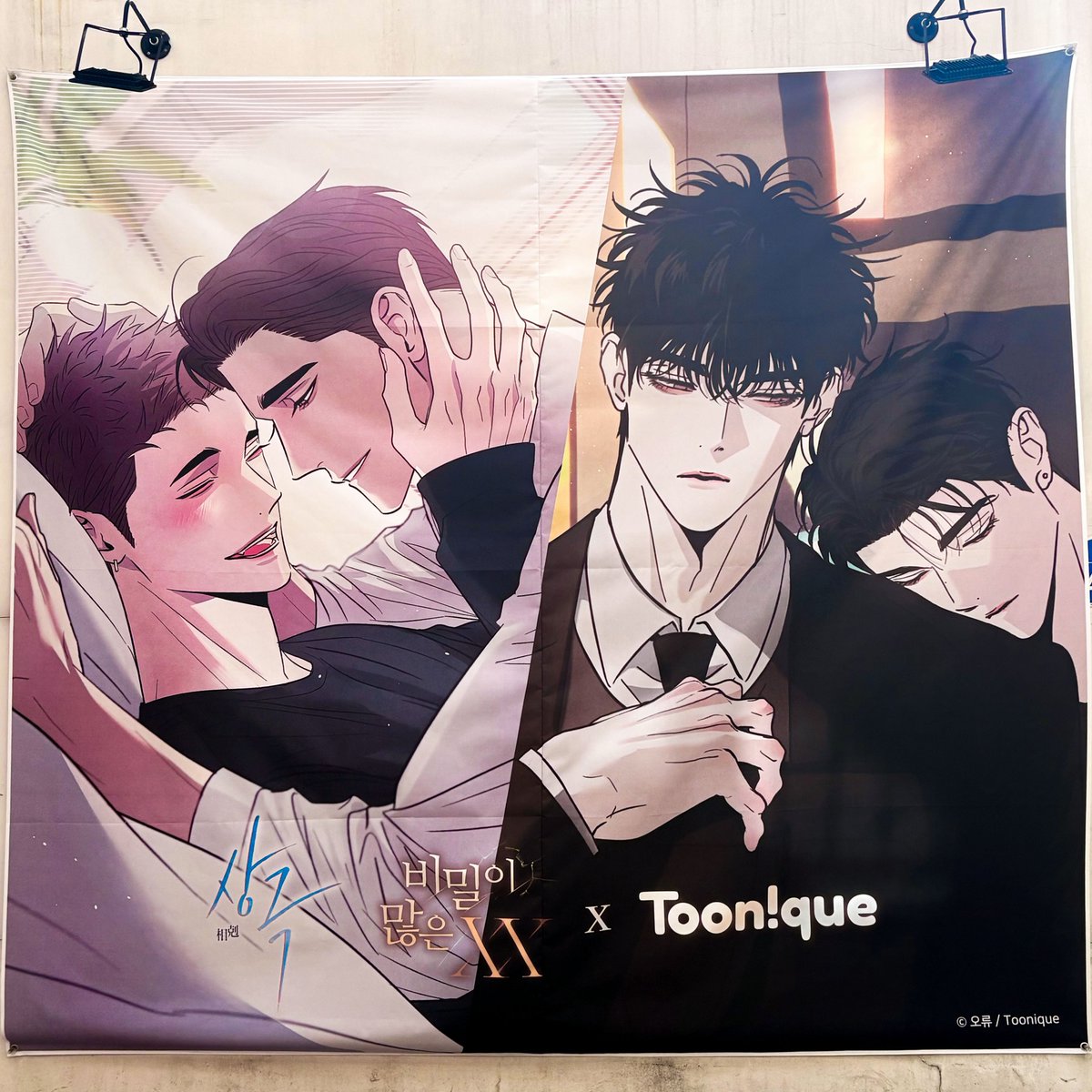 Toonique 투니크 홍대점 tweet media