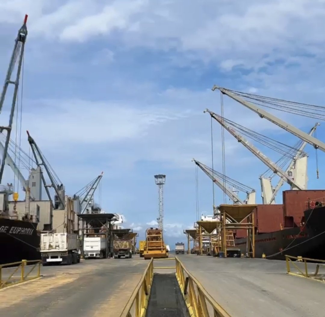 Ocamar_ve tweet media