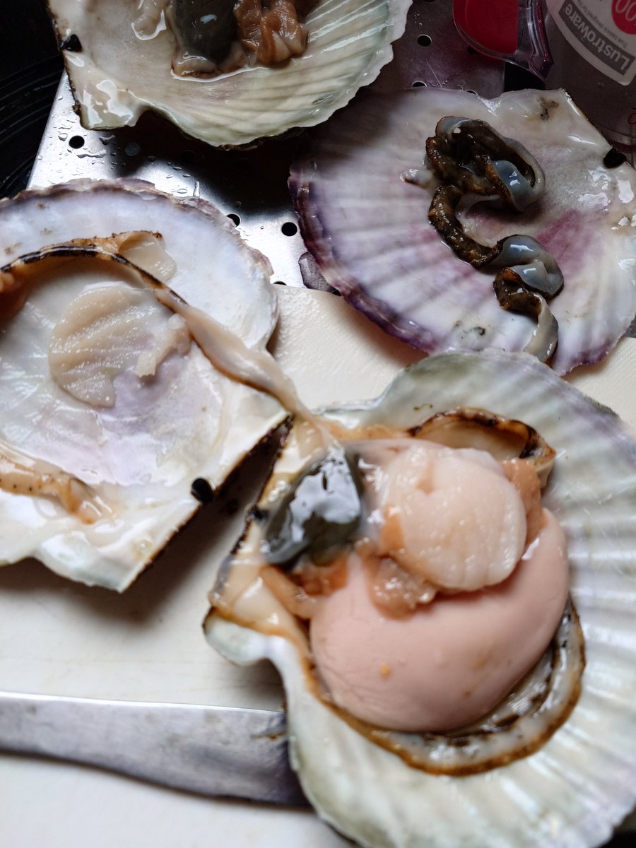 こーたろー@黒雪姫 tweet media