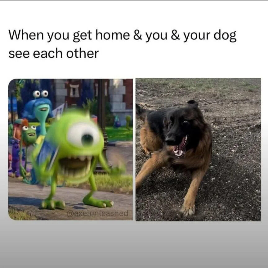 WholesomeMemes tweet media