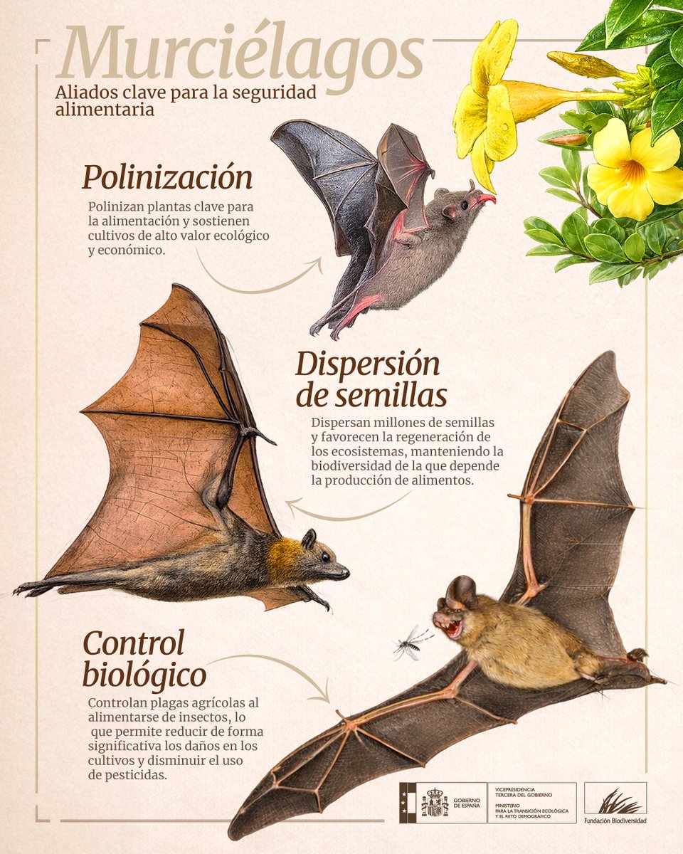 Fundación Biodiversidad tweet media