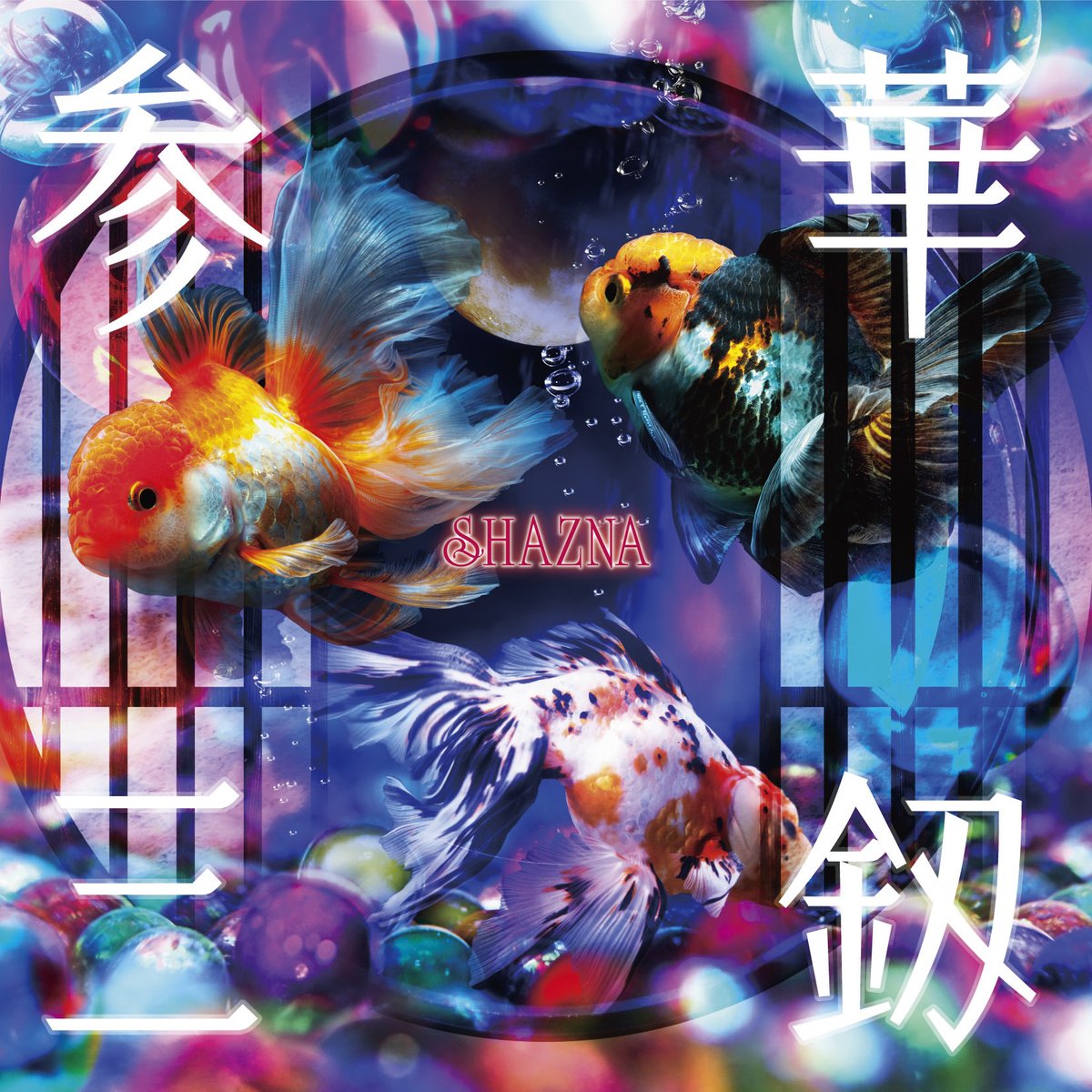 🌸IZAM 🌸《SHAZNA》 tweet media