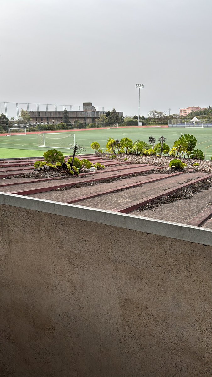 Patricia Gom83 tweet media