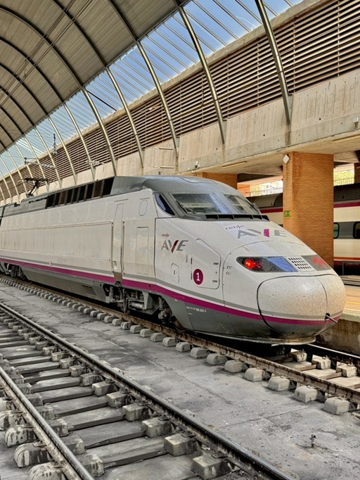 Renfe's tweet image. Buen día.  
Bon dia.  
Egun on.  
Bo día.  
#Felizlunes y #felizsemana   

(Fotografía cortesía de @DidacChavero. Muchas gracias, Didac.)