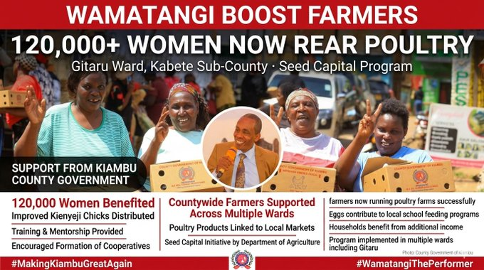 TheLaura_Angel's tweet photo. Wamama wa Kiambu wame jengwa na hii mradi sana especially  sai vile bei ya mayai iko juu 
#KaziNdioHiyo
RohoNdioHiyo
#DCPStepDown https://t.co/YIRadnteoq