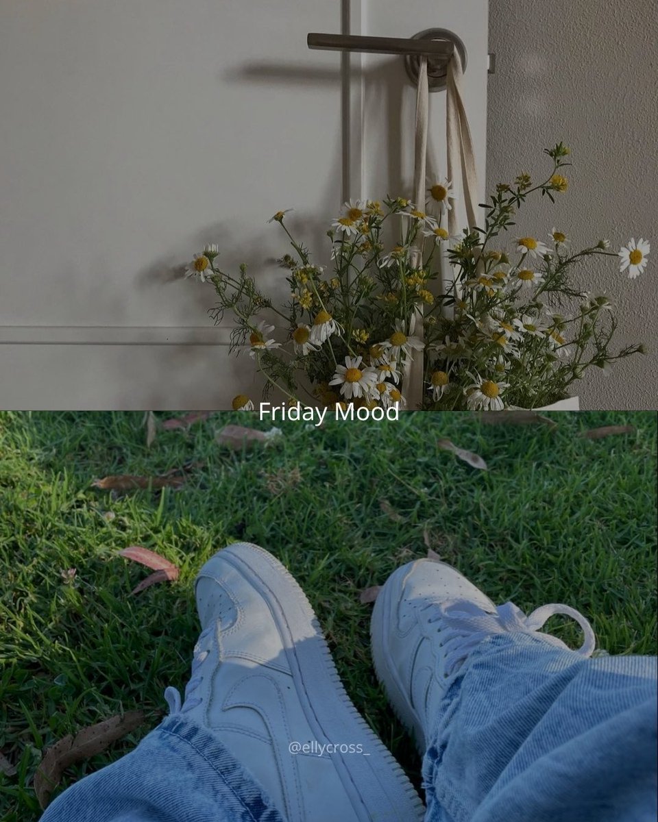 ellycross_'s tweet image. Friday Mood, friday feels ✨
#books #writers #friday