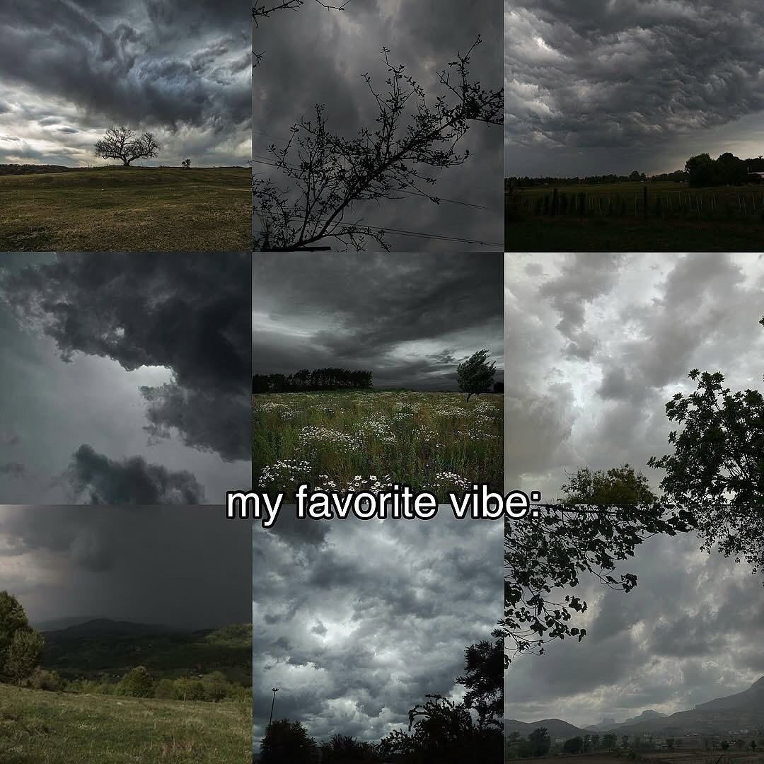 ⛆ 🌧️ ⛆ tweet media