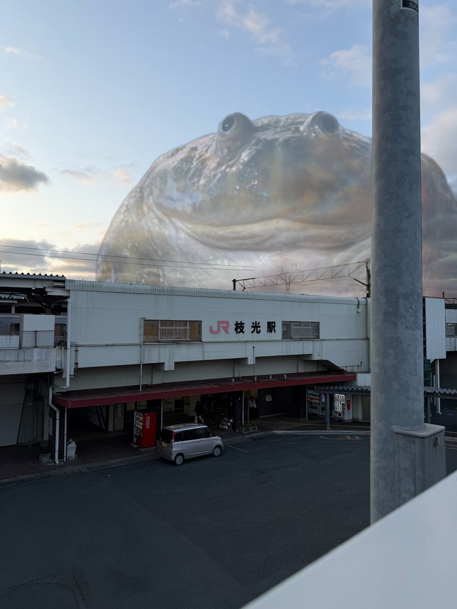 でっかいカエル tweet media