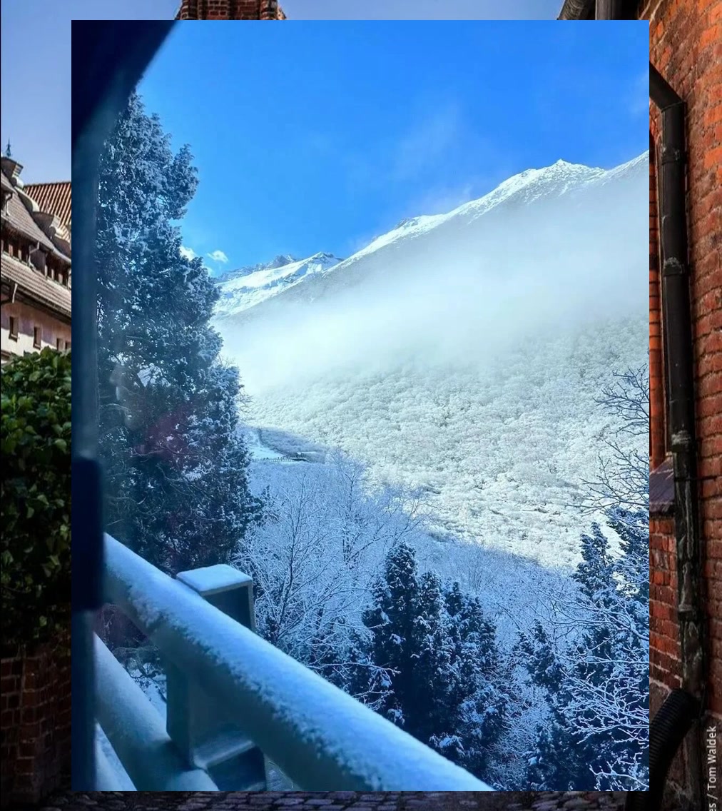 Cedarric Compres tweet media