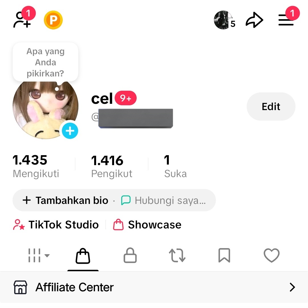 sane - mt after dm tweet media