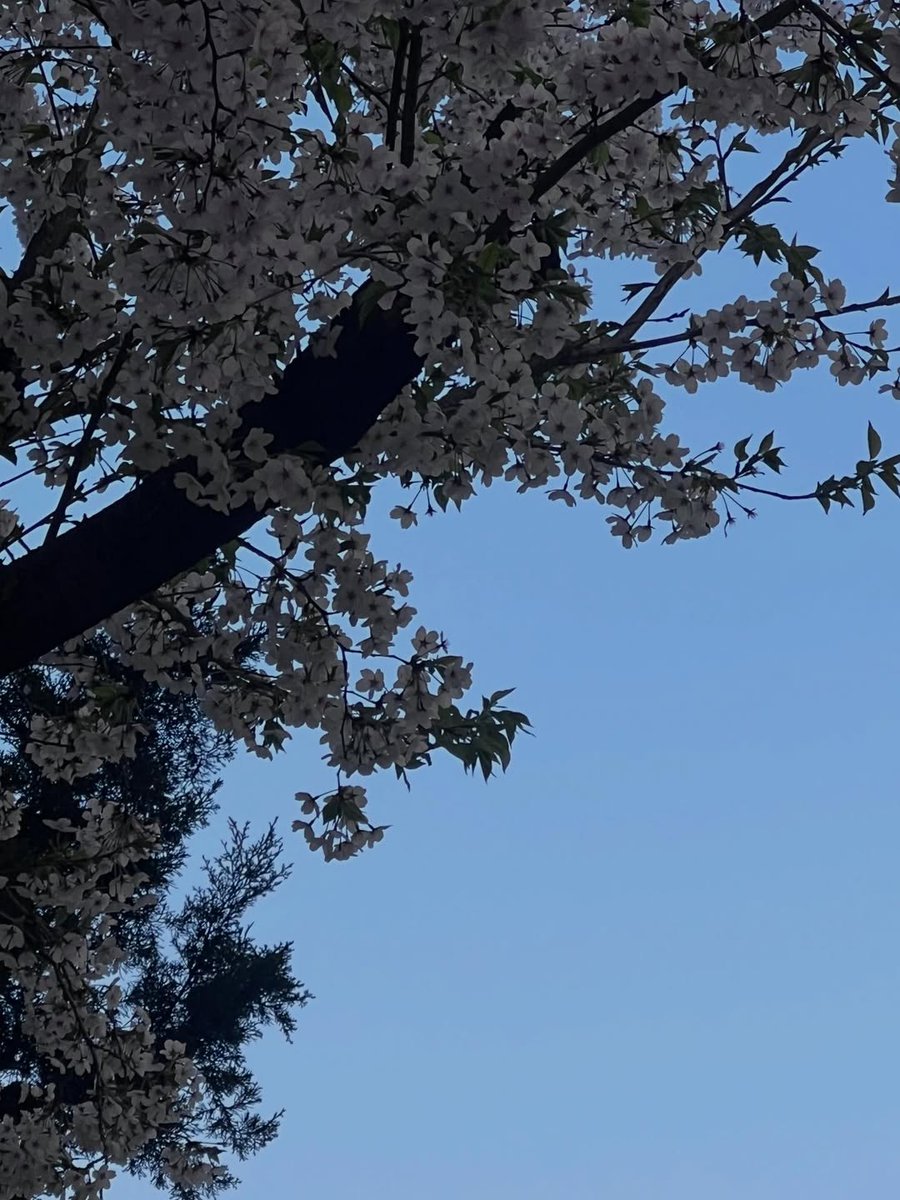 𝐅𝐚𝐧𝐛𝐚𝐬𝐞 𝐋Ø𝐔𝐃𝐈 𝐅𝐫𝐚𝐧𝐜𝐞 🇫🇷 tweet media