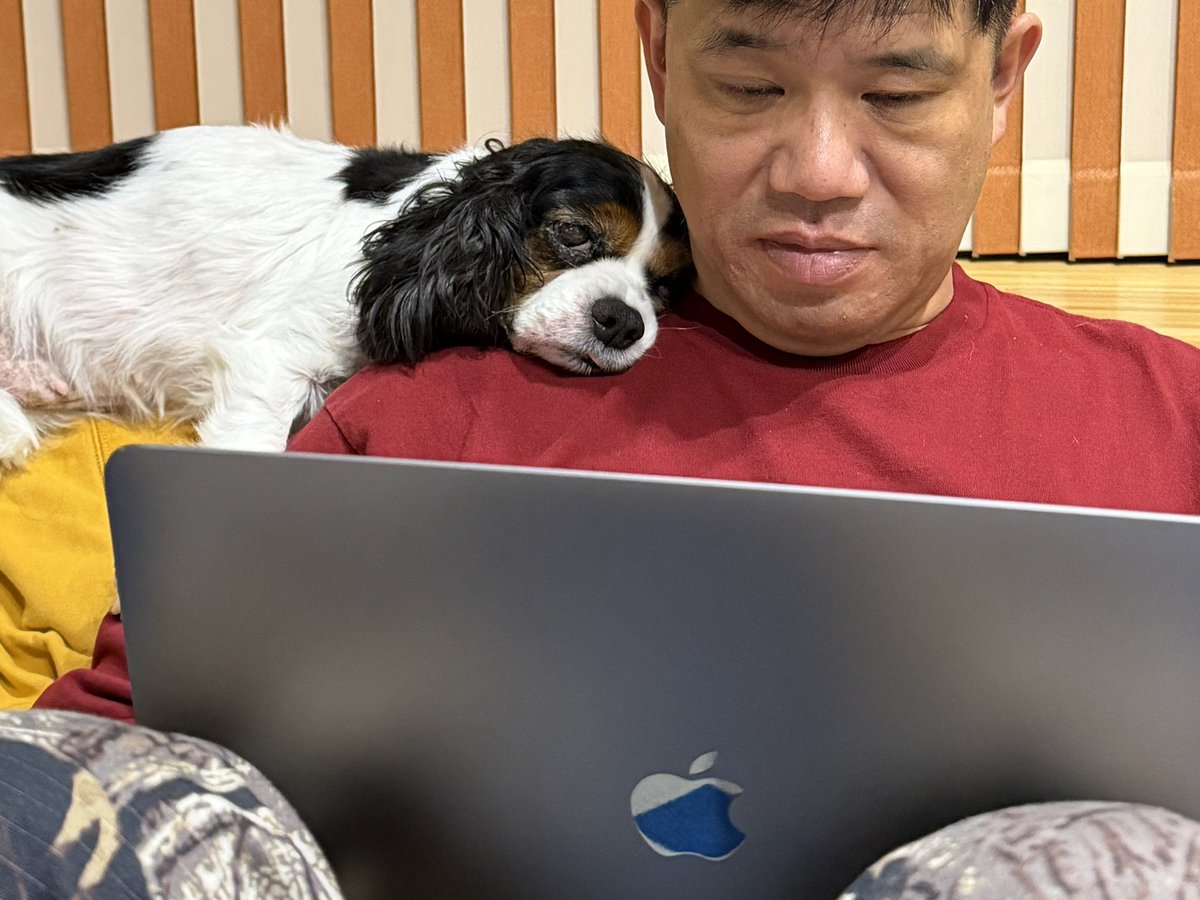 橋本正徳🌍ヌーラボ tweet media