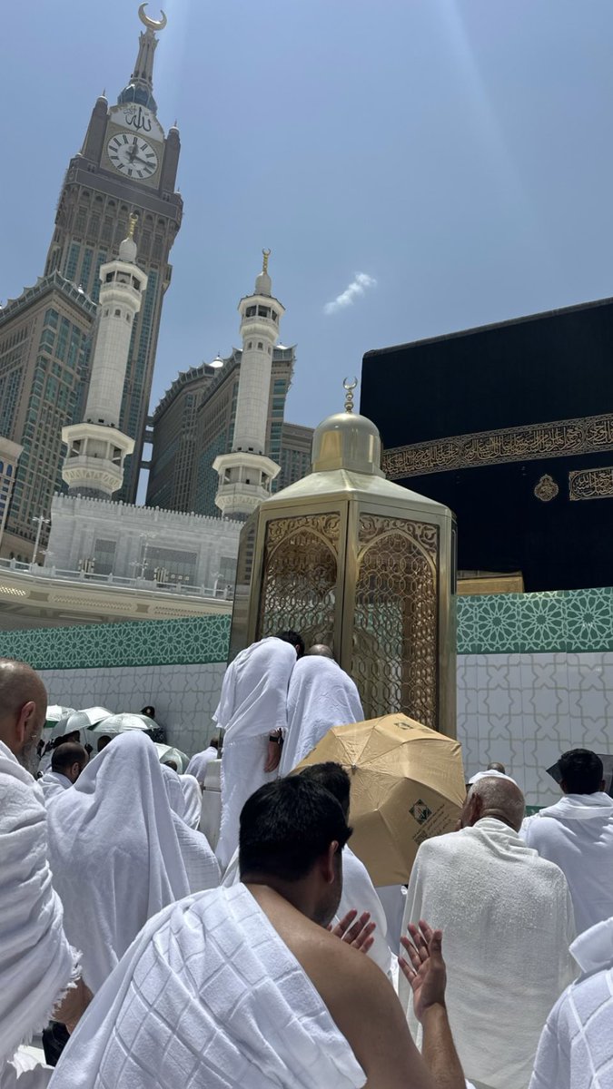 رابطه عاشق لحس صلعه فابينهو tweet media