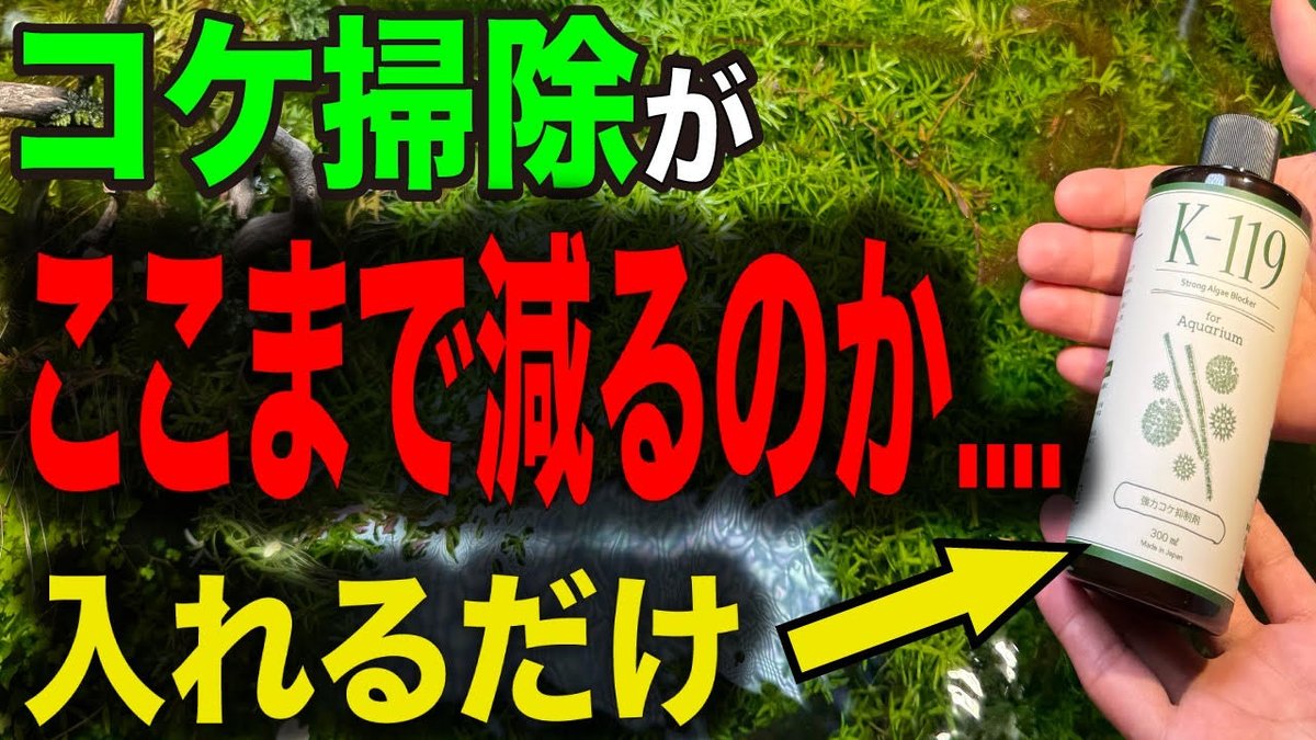 info_EARTH's tweet photo. https://t.co/ANIFTatEtc
コケが出る原因、ちゃんと理解してますか？
  実はコケ対策は「原因の勘違い」で失敗しています。

 この動画では、水槽にコケが発生する本当の理由と、
“出なくするための考え方”をプロ目線でわかりやすく解説します。  
さらに、強力コケ抑制剤「K-119」
水槽用バクテリア「A-810」、
ライブリムーブ（吸着剤）の仕組み・メリットも解説。

「とりあえず掃除してる」状態から“コケをコントロールできる状態”に変えたい人は必見です。