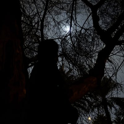 𝐌𝐔𝐑𝐀𝐃 tweet media