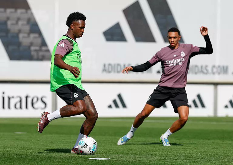 محمود مجيد tweet media