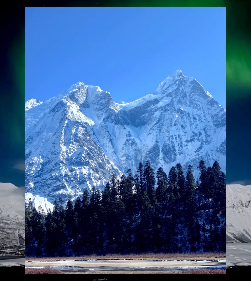 Gregory Trotter tweet media