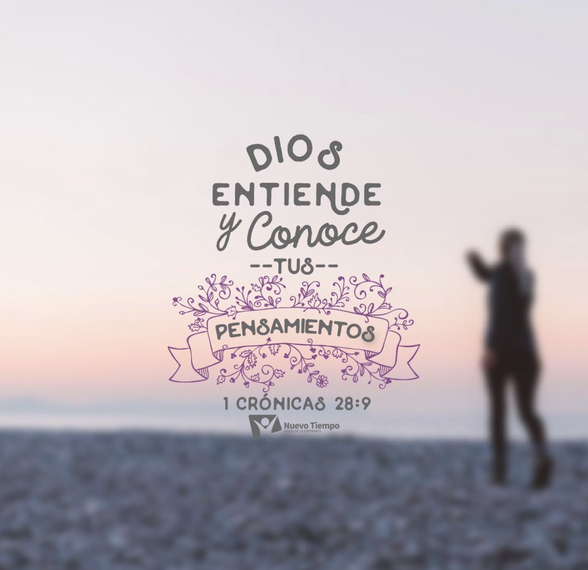 “Anímate y esfuérzate, y manos a la obra; no temas ni desmayes, porque Jehová Dios, mi Dios, estará contigo; él no te dejará ni te desamparará, hasta que acabes toda la obra para el servicio de la casa de Jehová” (28:20)
#1Crónicas28   #rpSp 
👉  bit.ly/EstudieLaBibli…