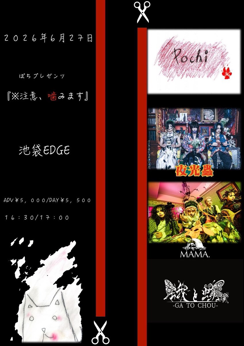 蛾と蝶 official tweet media
