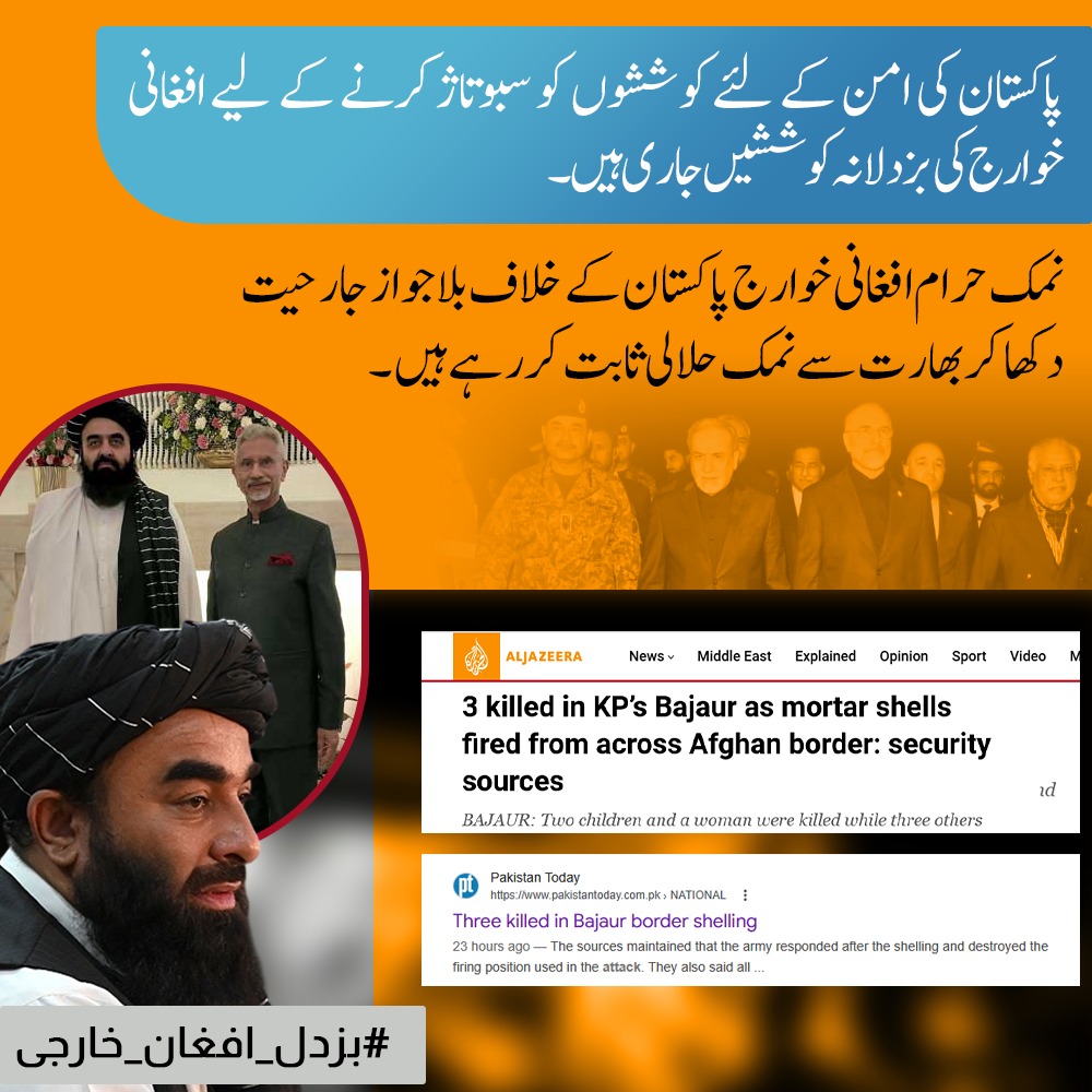 پاکستان کے امن کو سبوتاژ کرنے کی ہر کوشش قابلِ مذمت ہے۔ جو عناصر ملک کے خلاف جارحیت اور دہشتگردی میں ملوث ہیں، وہ خطے کے استحکام کے دشمن ہیں۔ پاکستان اپنی خودمختاری، عوام کے تحفظ اور امن کے قیام کے لیے ہر سطح پر مضبوط اور فیصلہ کن ردعمل دے گی 
#بزدل_افغان_خارجی