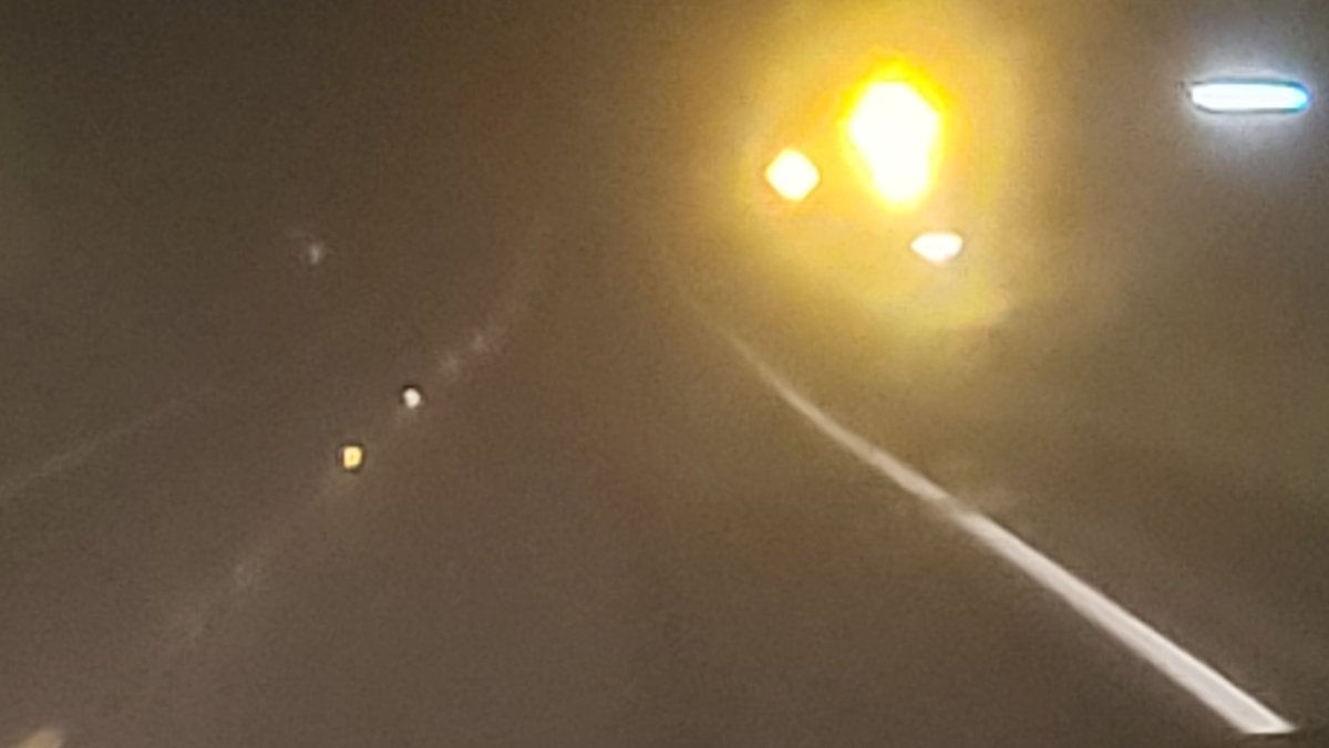 Cat_Man_Dew tweet media