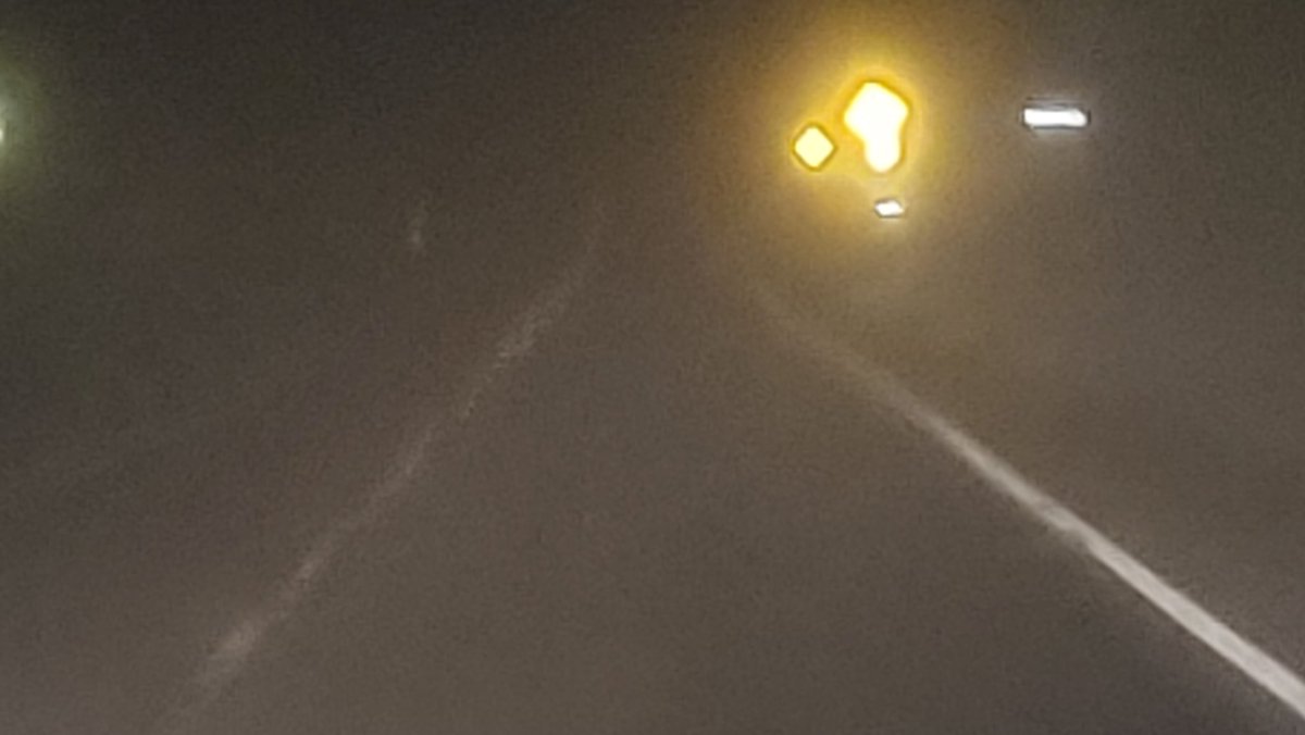 Cat_Man_Dew tweet media