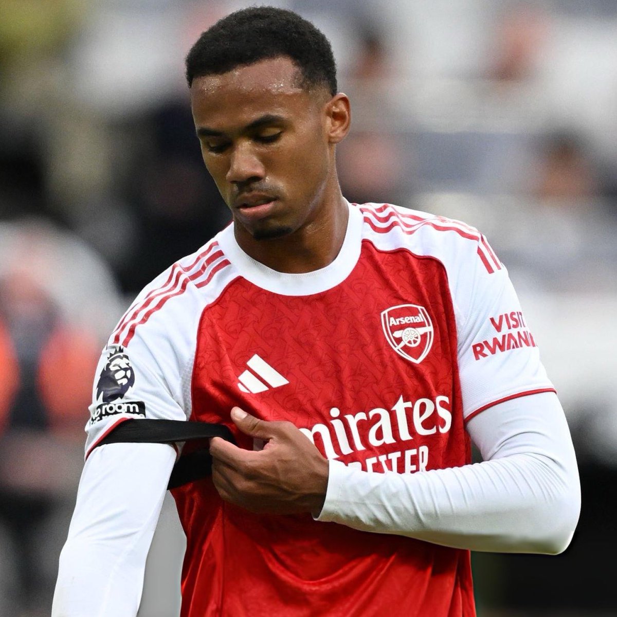 DailyAFC tweet media