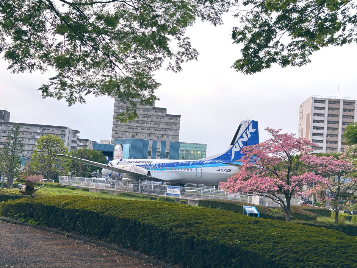 佐藤和泉 tweet media