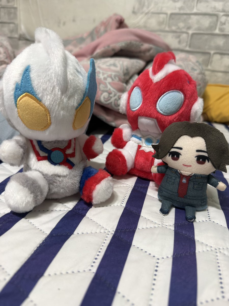 시온(しおん) tweet media