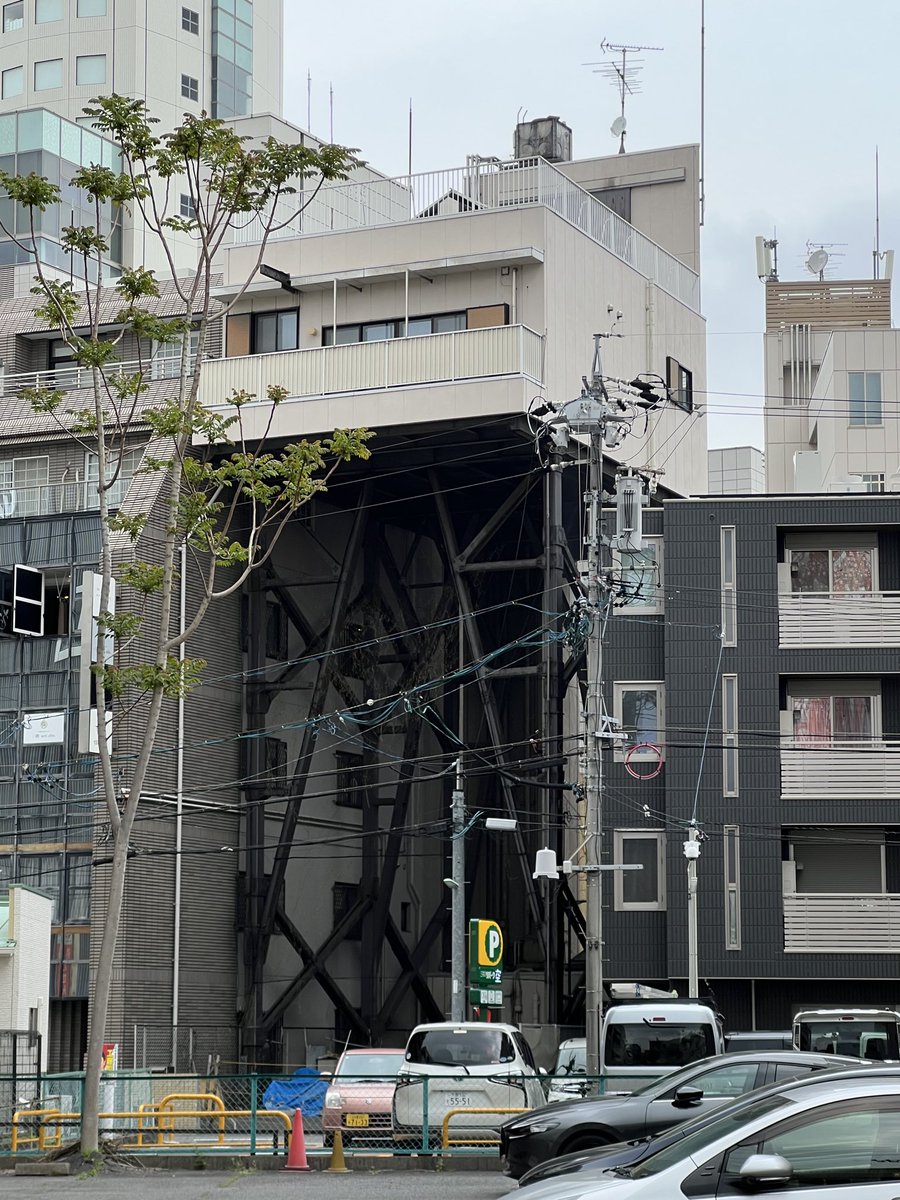 鞆(とも) tweet media