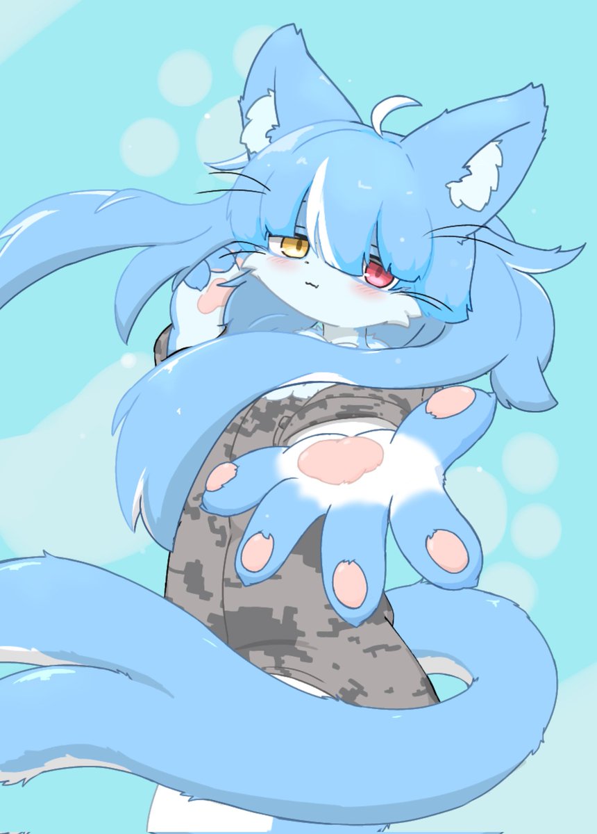 おまねこちゃん（君）🐾