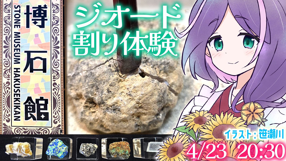 🍵 #配信告知 🍵

🔶ジオ―ドを割ったりしたお土産話🔶
写真と共に楽しむ、旅行＆博物館系雑談～📷🎶
行ってきたのは岐阜県『博石館』と『中津川市鉱物博物館』💎✨
美味しいごはんも～😋❣

📅➡ 2026年4月23日(木) 20:30
💻➡ youtube.com/live/4z1Wp4i4g…

お時間が合いましたら、遊びにいらしてね～🌸