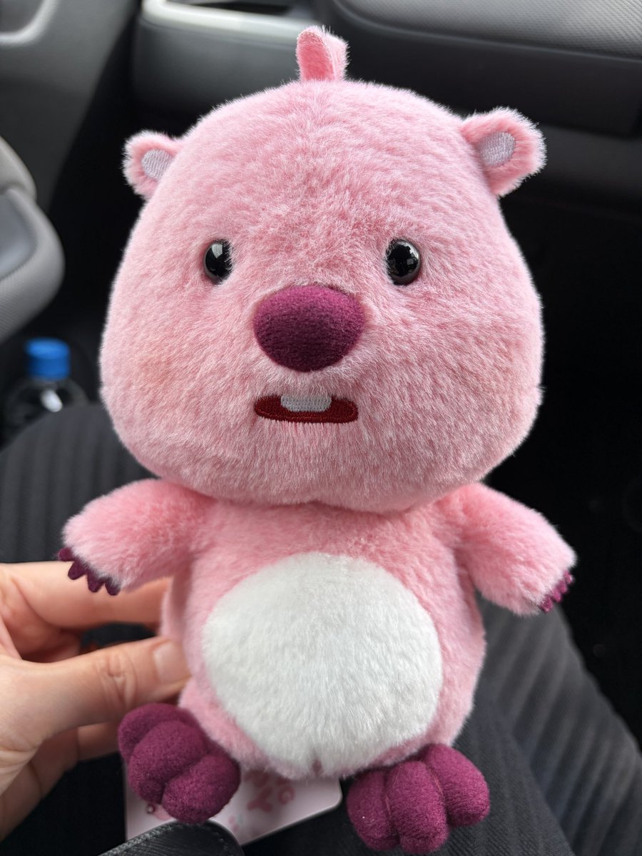 mickyuchan's tweet photo. エペことルーピーがいたよ〜！
今日から君はウチの子ね♡ https://t.co/ULGbujtchF