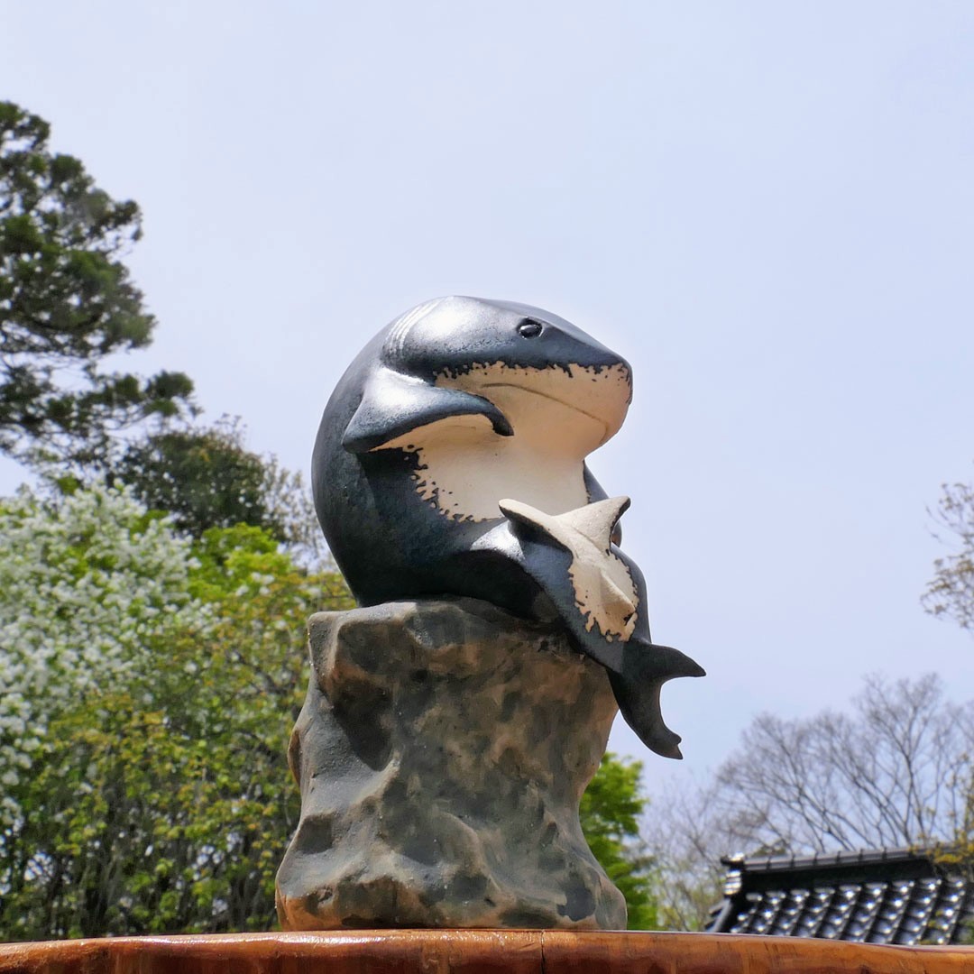 ceramimic2021's tweet image. 考えるホホジロザメ🦈
#サメ #shark #考える人