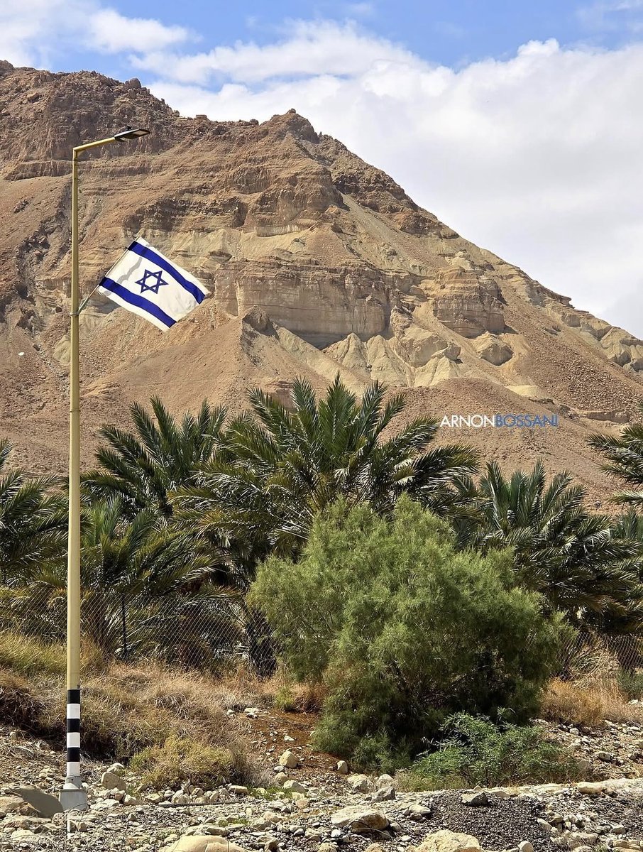 Israel in Greece 🇮🇱🇬🇷 tweet media