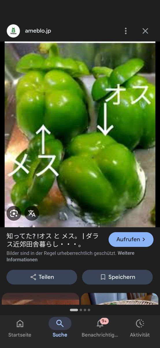 🇲🇰🇷🇪木村🇮🇲🎌　lotus123書院　太郎　職業は演奏家＆バスーン教師 tweet media