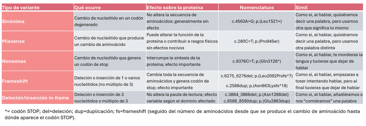 David Rubio tweet media