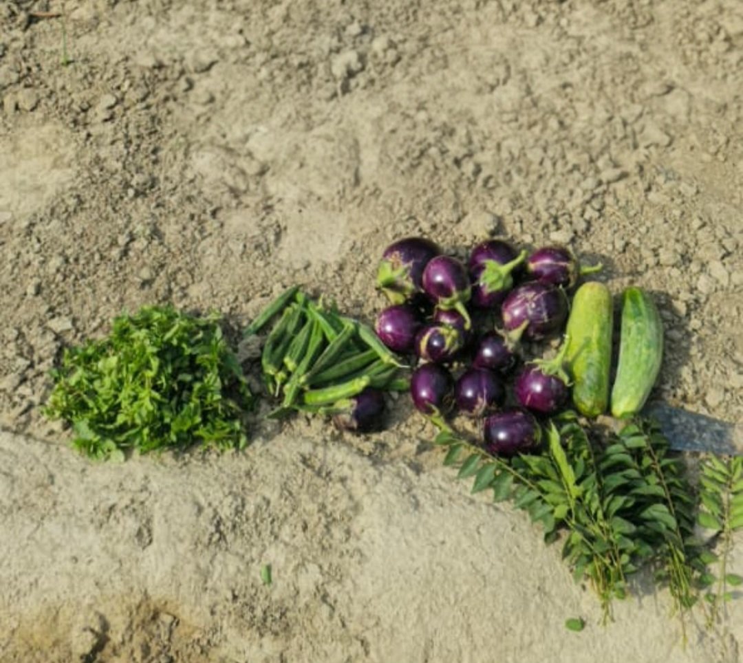 🍯FaBA🐝 फाबा tweet media