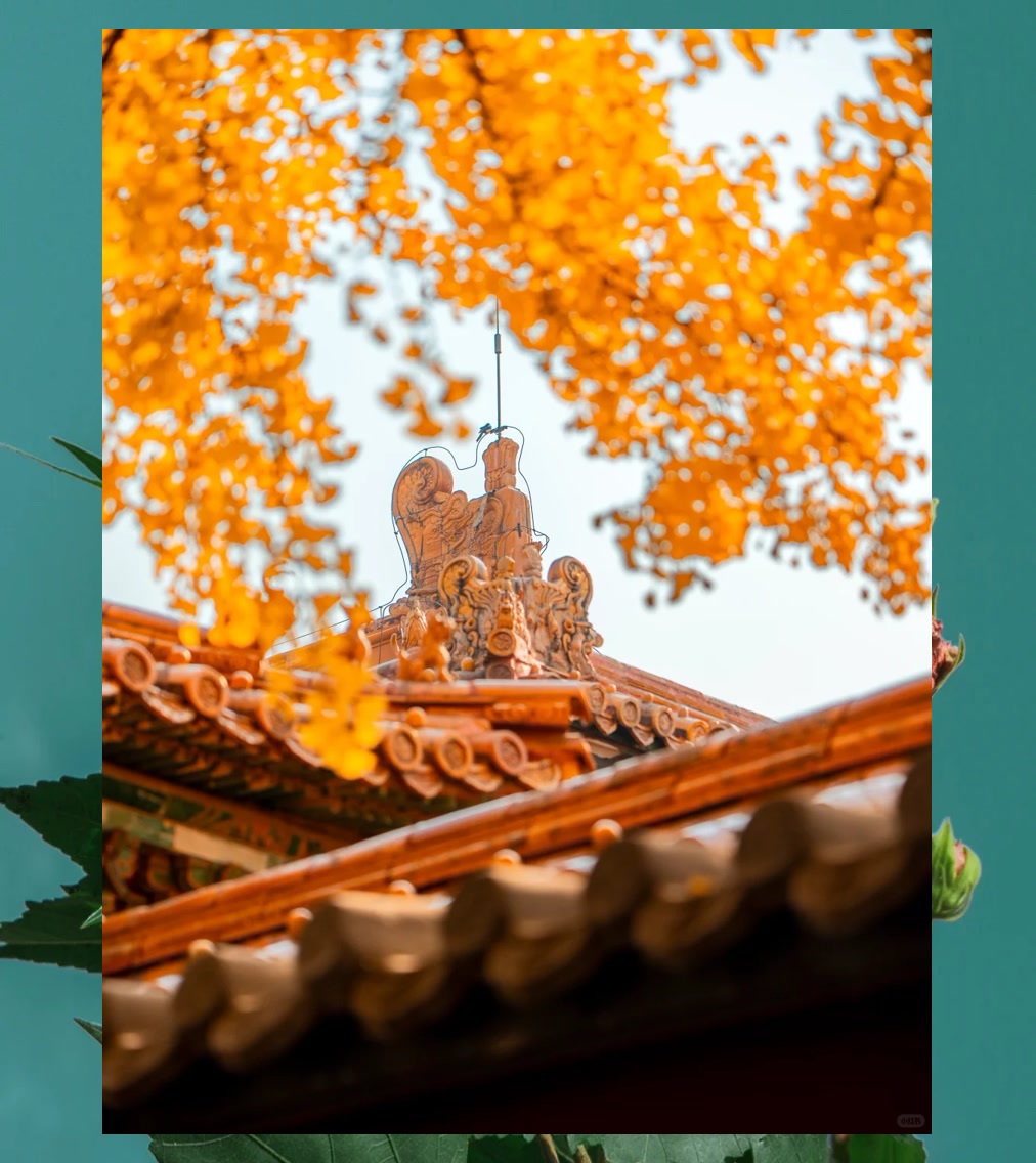 Jennifer Bradley tweet media