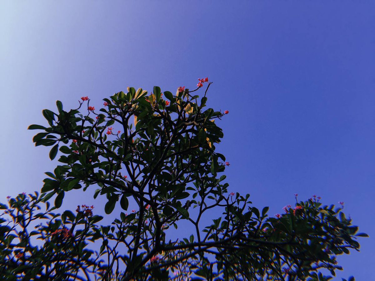 the arts of trying tweet media