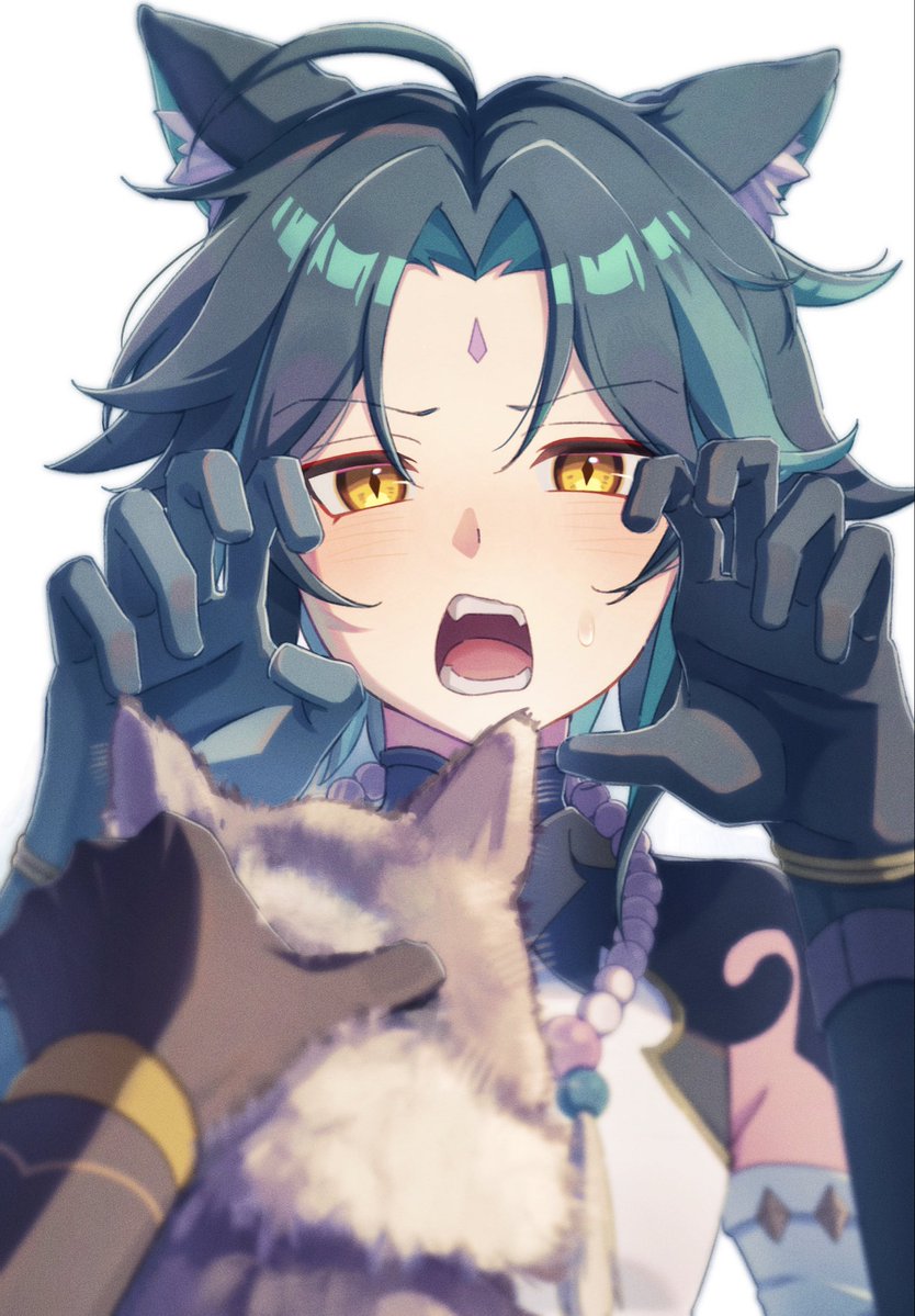 朔太郎 tweet media