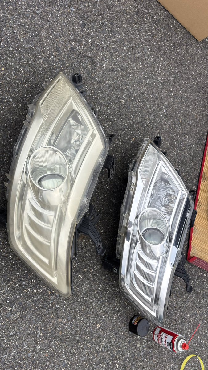 コミ🪼🐬 tweet media