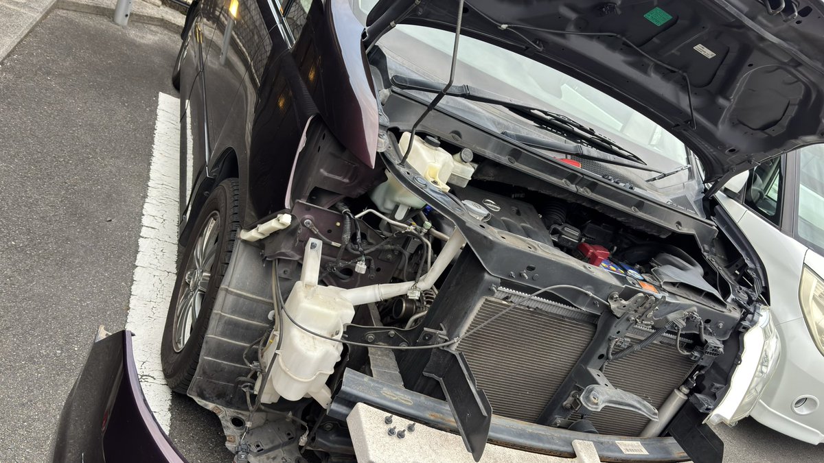 コミ🪼🐬 tweet media