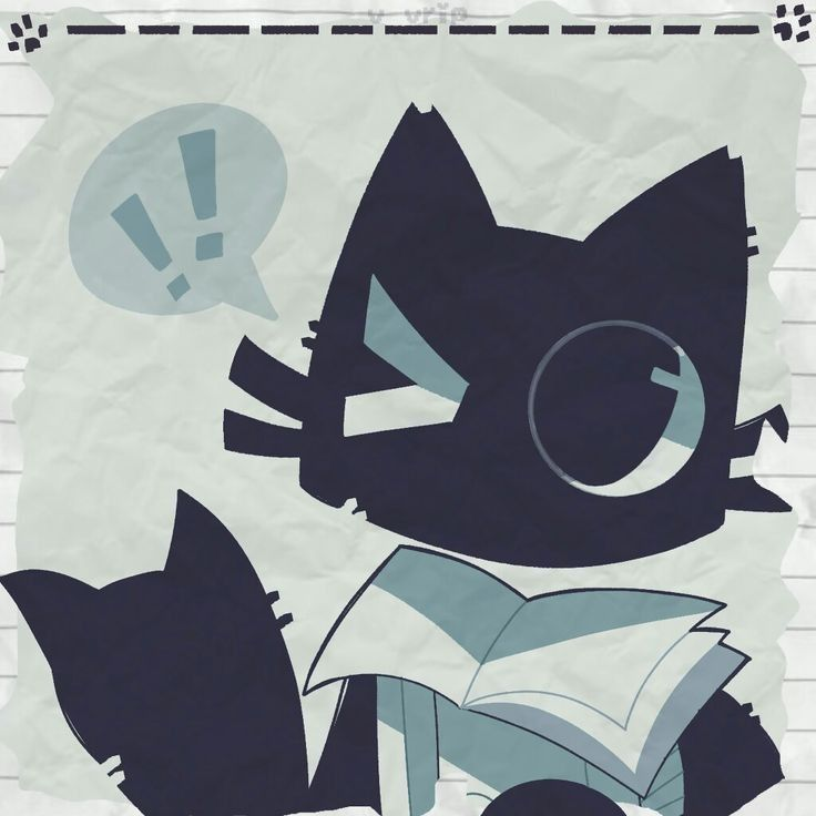 🍁Kevinth3Caoimhín🍁 tweet media